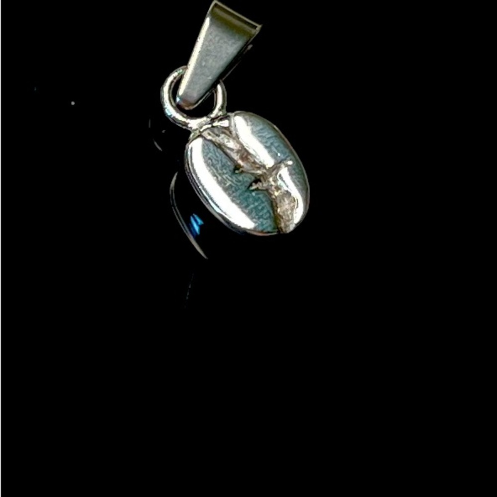 Coffee Bean Pendant Molded from an Original Coffee Bean. Made in Stainless Steal